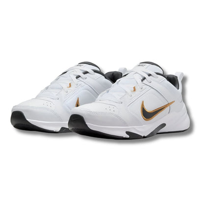 ZAPATILLAS NIKE DEFYALLDAY